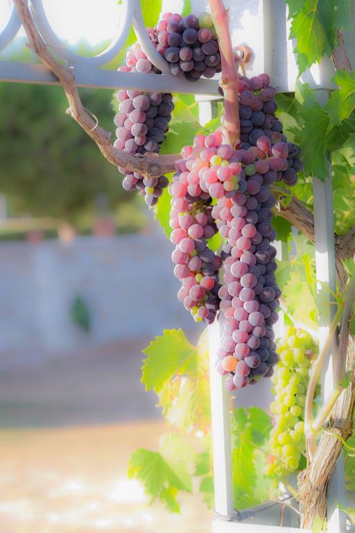 Agriturismo Il Megalite Giurdignano Zewnętrze zdjęcie